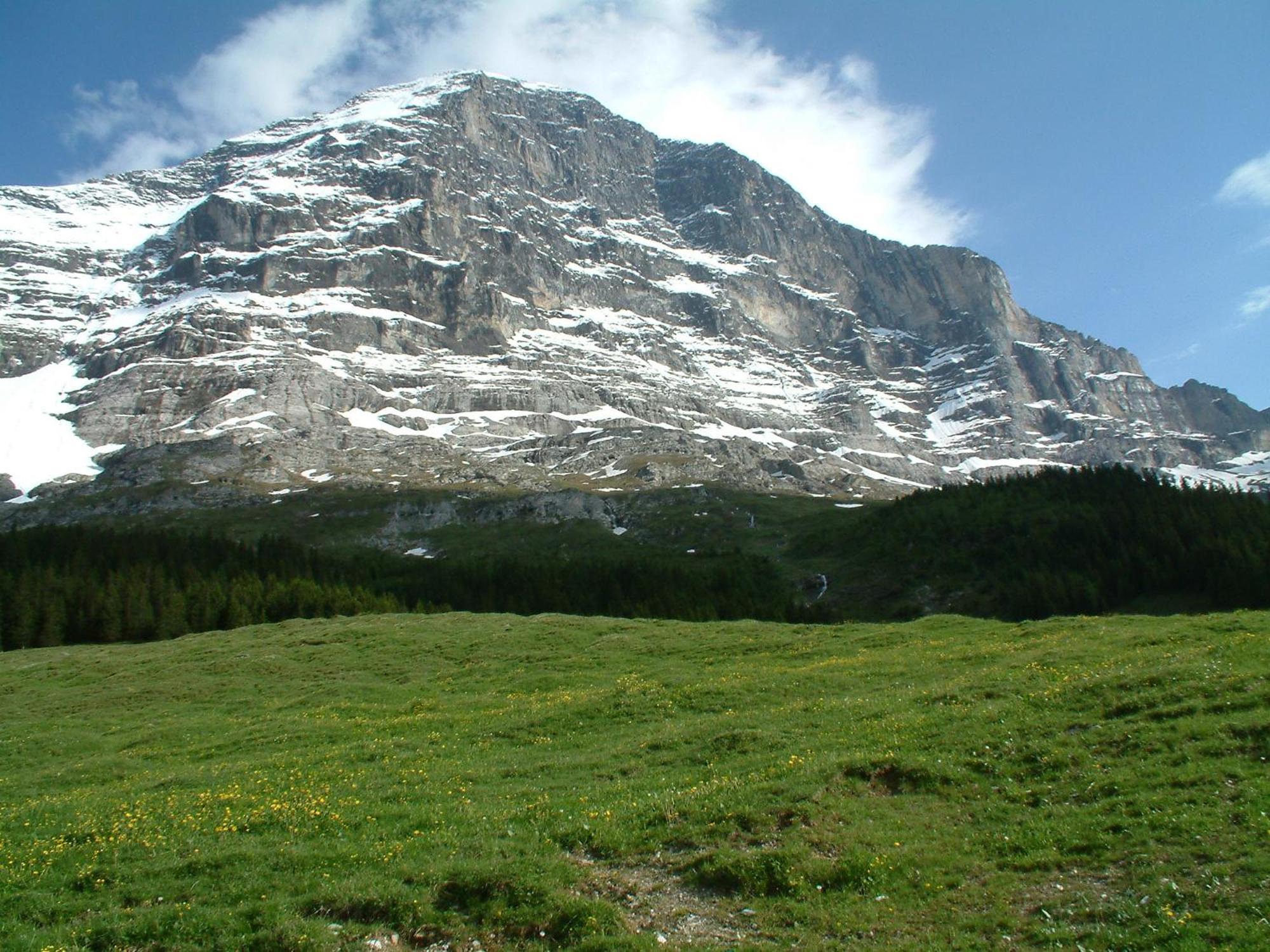 Chalet Schwendiboden Grindelwald Exteriör bild