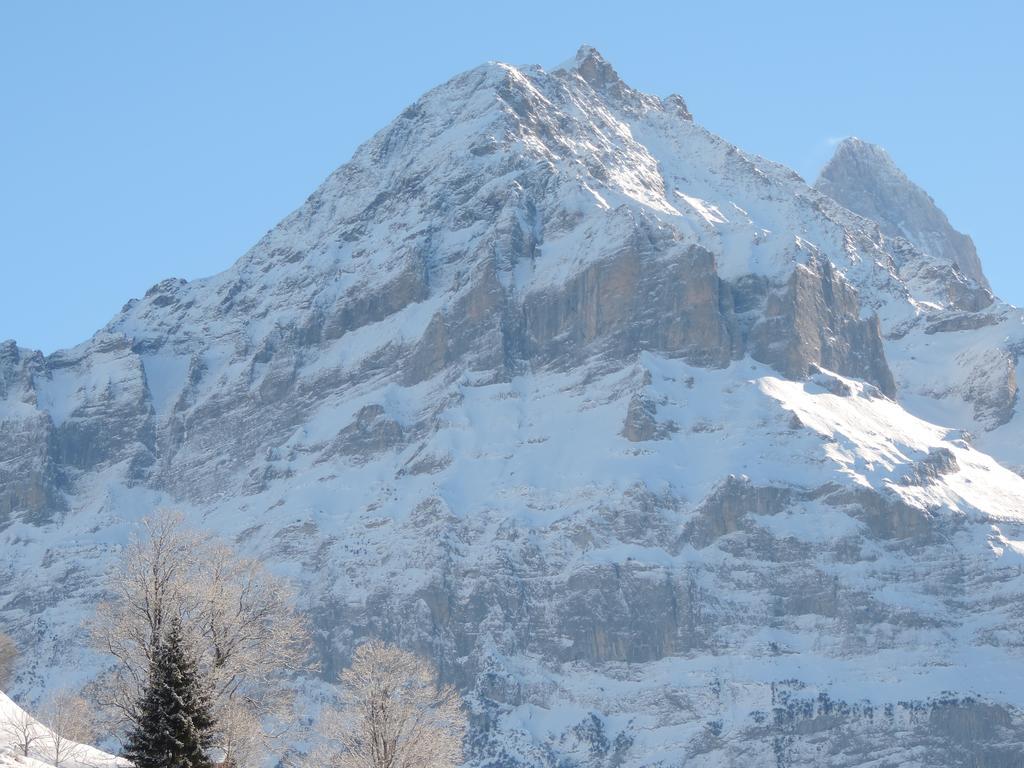 Chalet Schwendiboden Grindelwald Exteriör bild